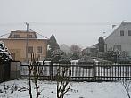 Třibřichy