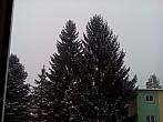 Jirkov