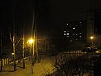 Borovina