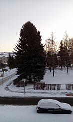 Varnsdorf