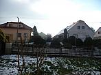 Třibřichy
