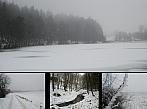 Borovina