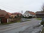 Třibřichy