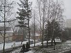 Borovina