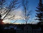 Borovina