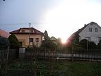 Třibřichy