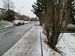 Borovina