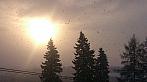 Tachov
