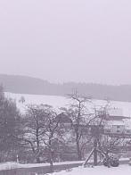 Zajíčkov