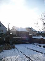 Třibřichy