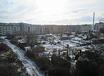 Borovina