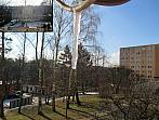 Borovina