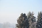 Tučapy