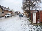 Třibřichy