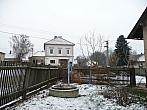 Třibřichy