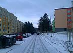 Borovina