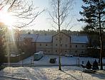 Borovina