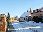 Třibřichy