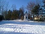 Borovina