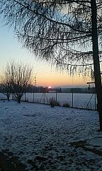 Ostarva