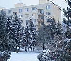 Borovina
