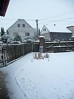 Třibřichy