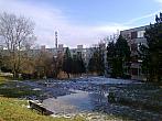 Borovina