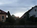 Třibřichy