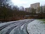 Borovina