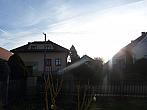 Třibřichy