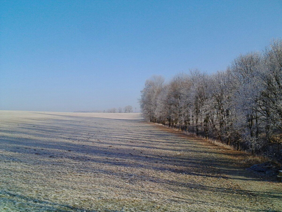 Kruh