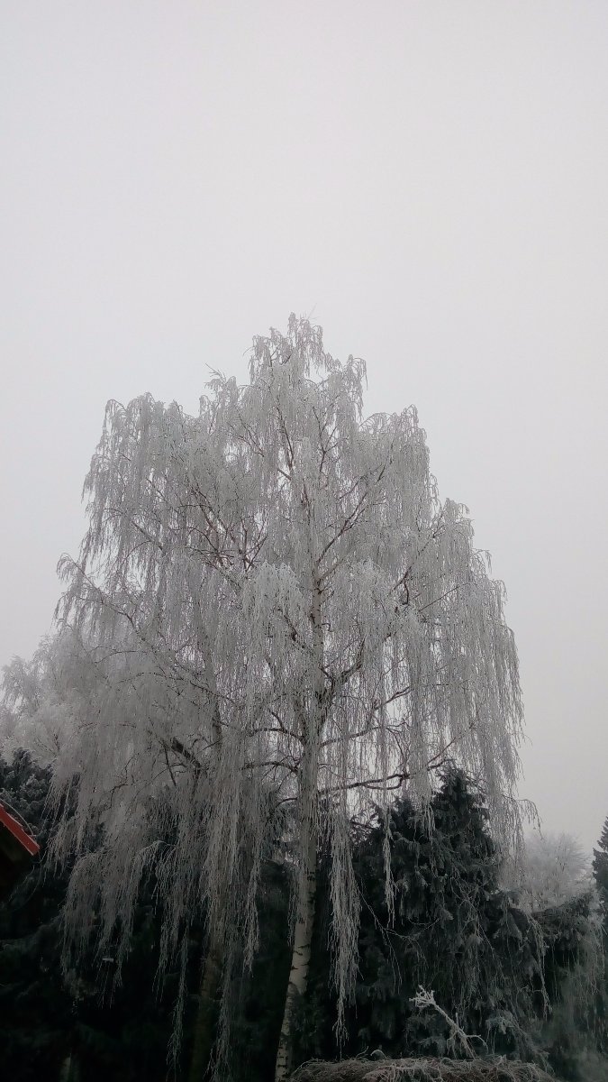 Bílá Lhota