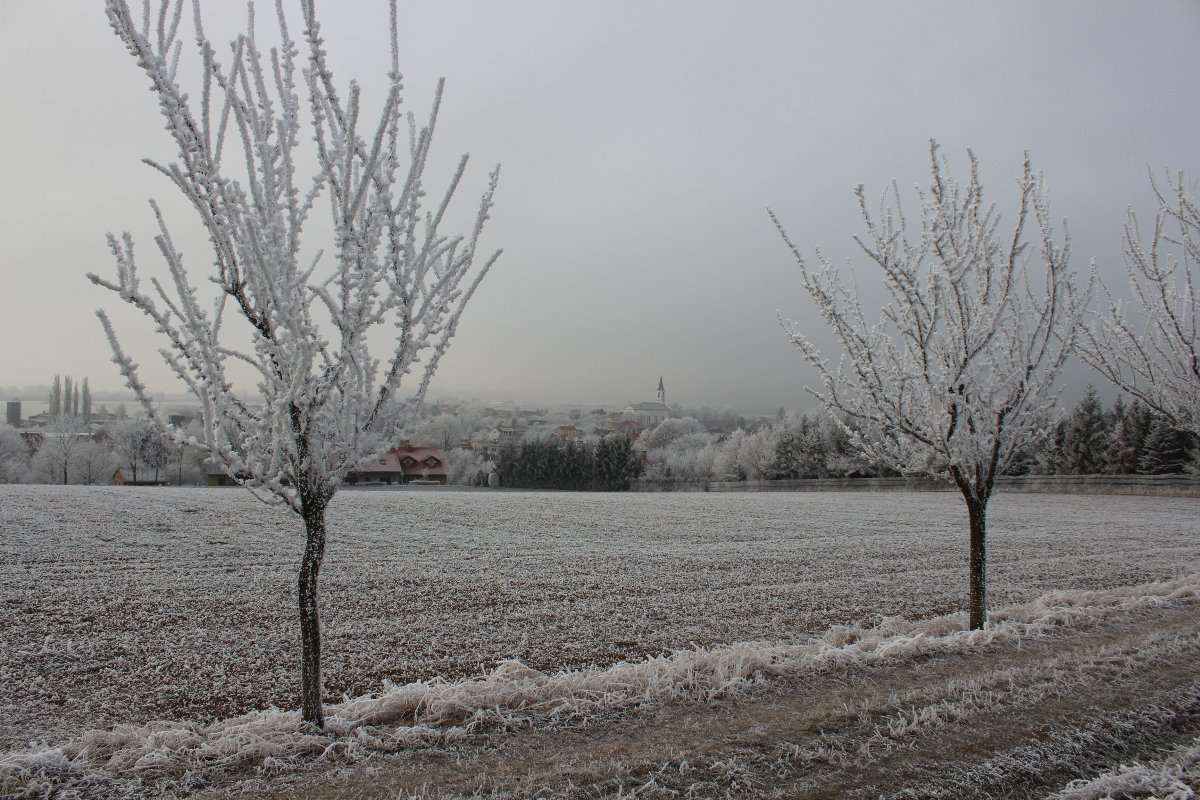 Smržice