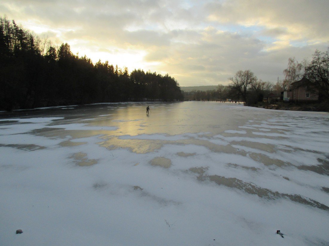 Borovina