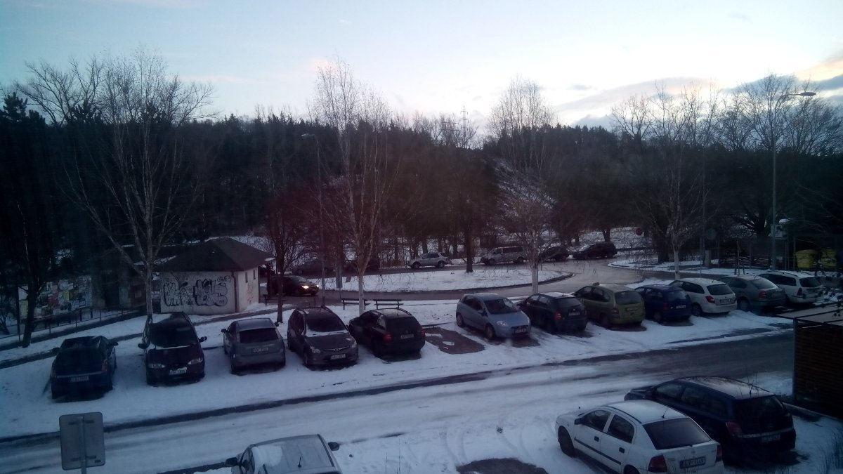 Borovina