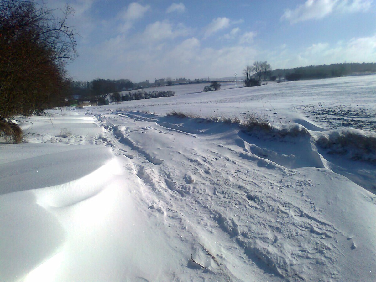 Borovina