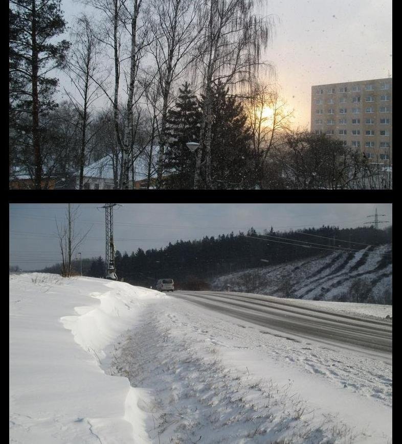 Borovina