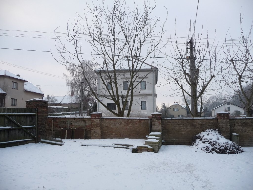 Třibřichy