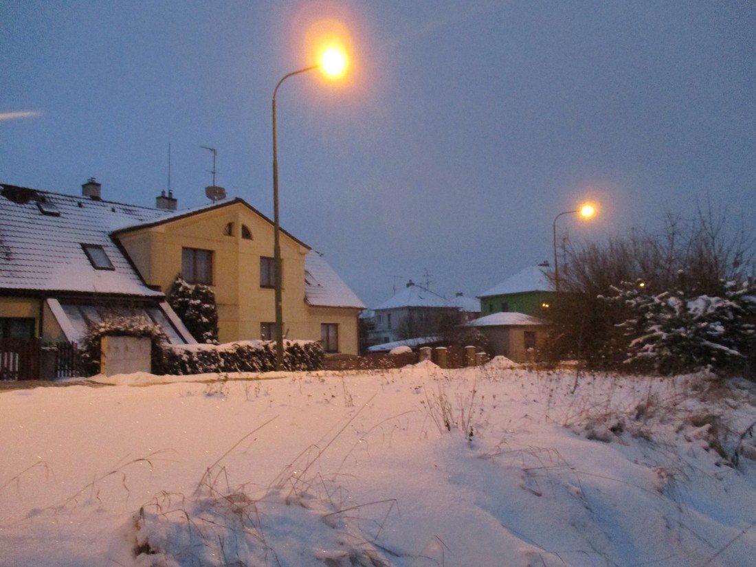 Borovina