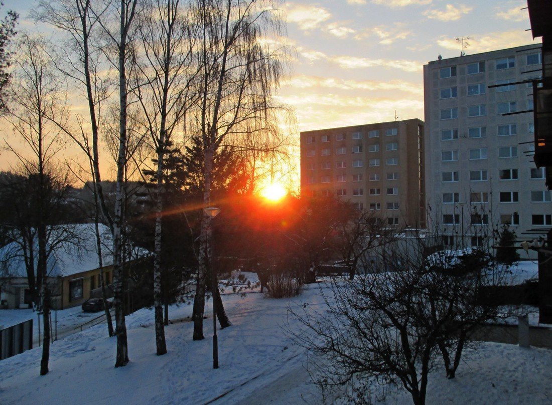 Borovina