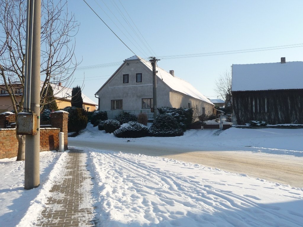 Třibřichy