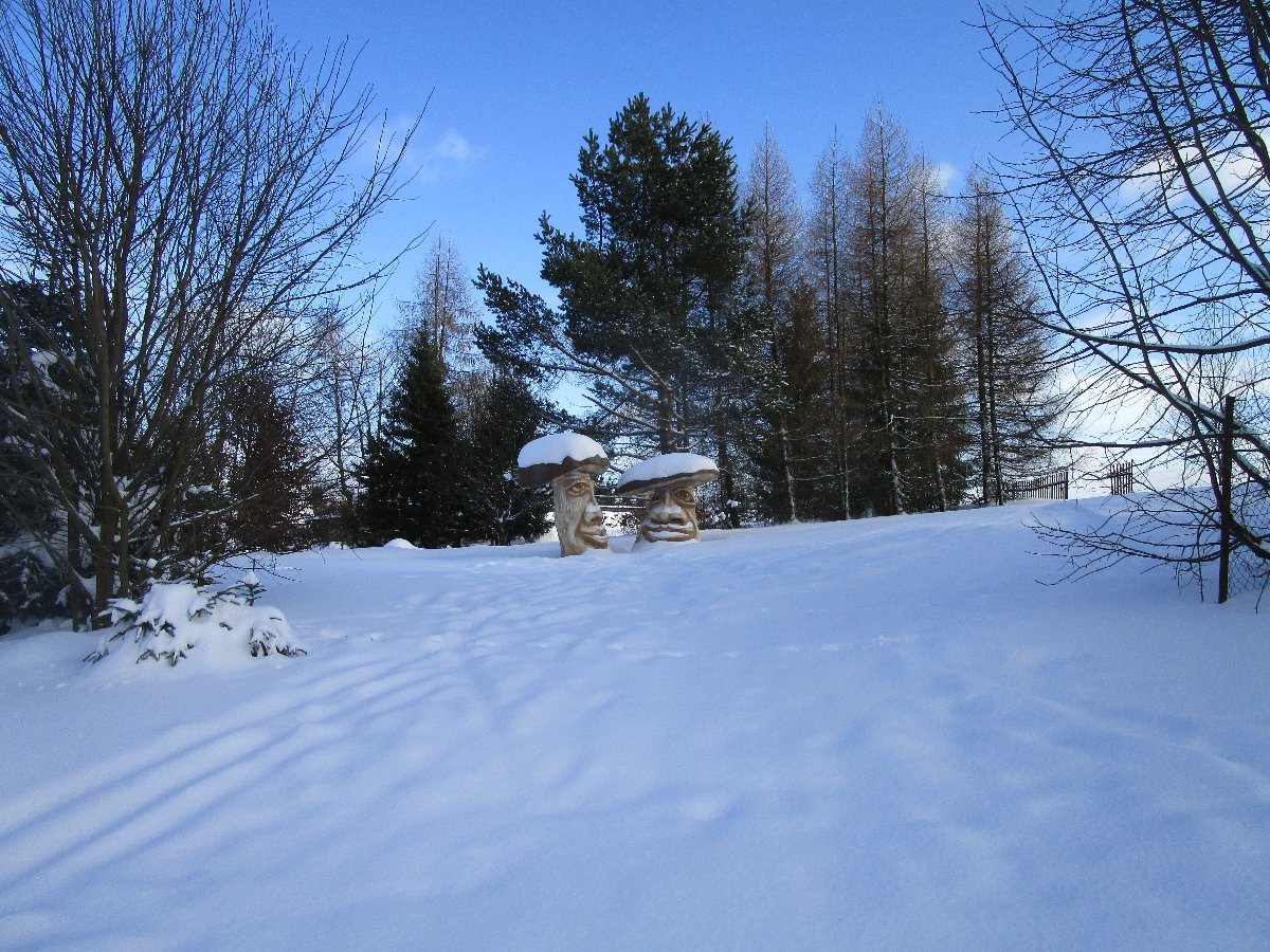 Fryšava