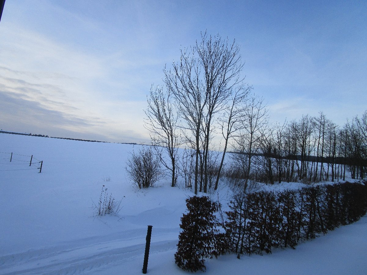 Fryšava