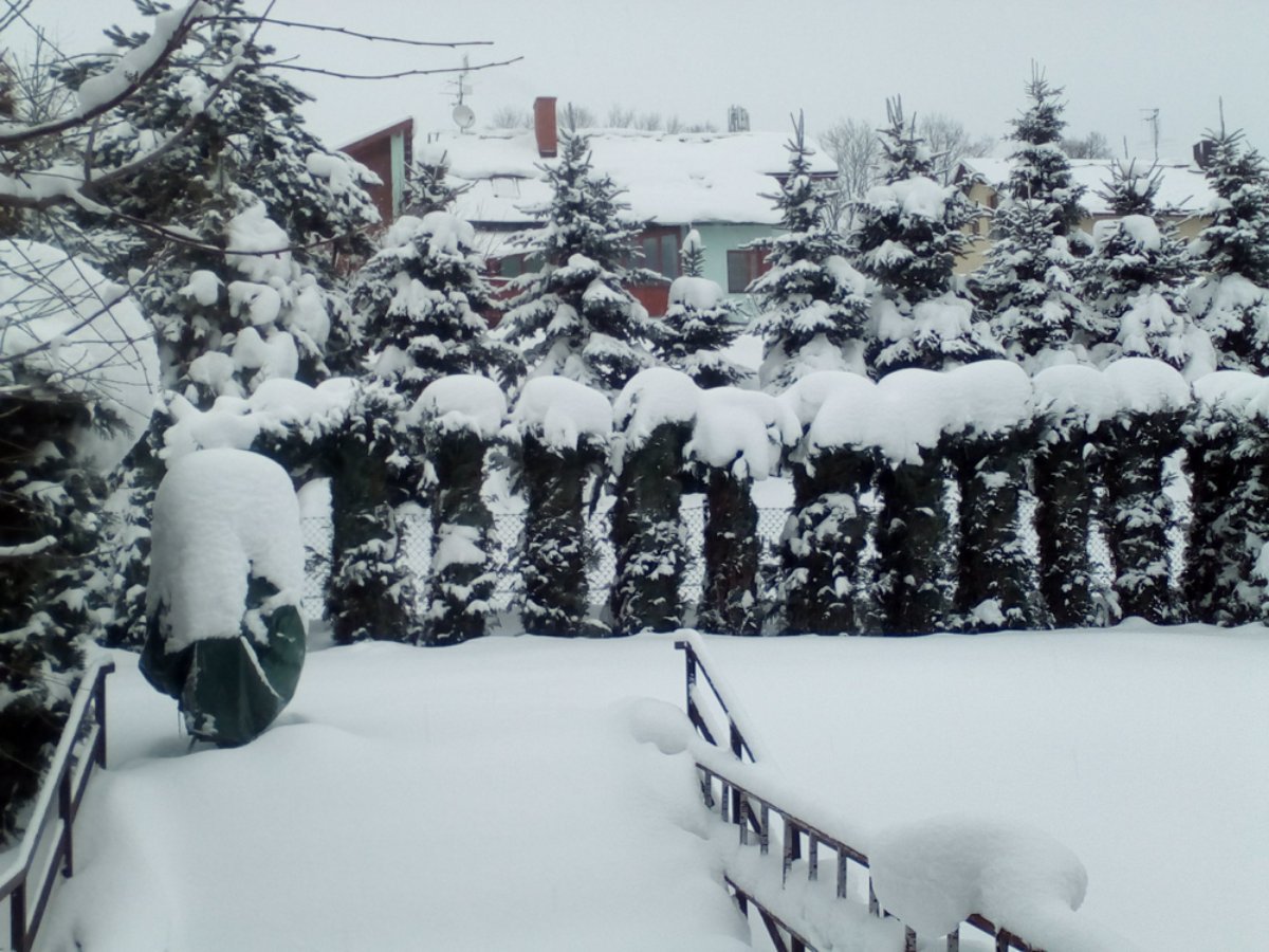 Jilemnice