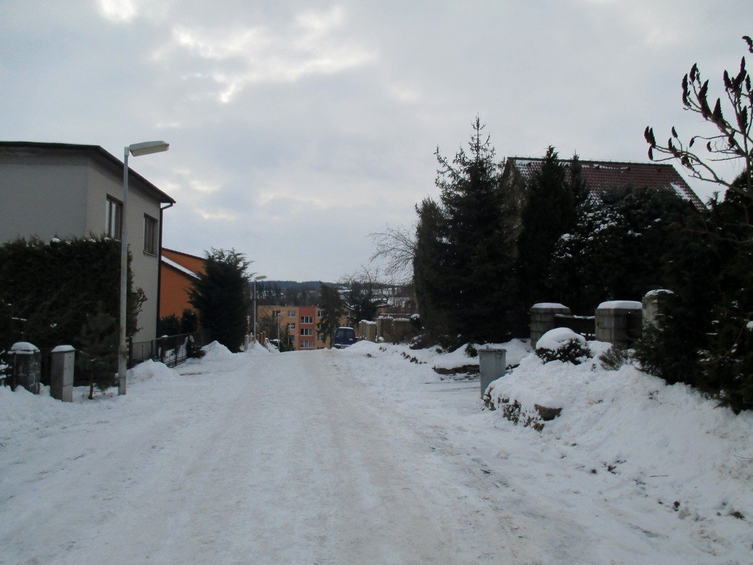 Borovina