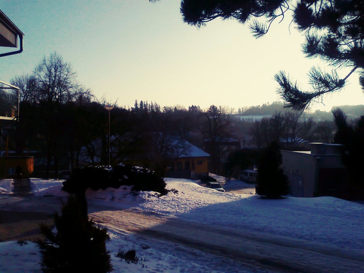 Borovina