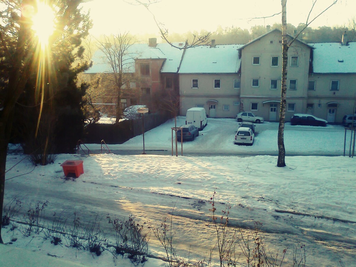 Borovina