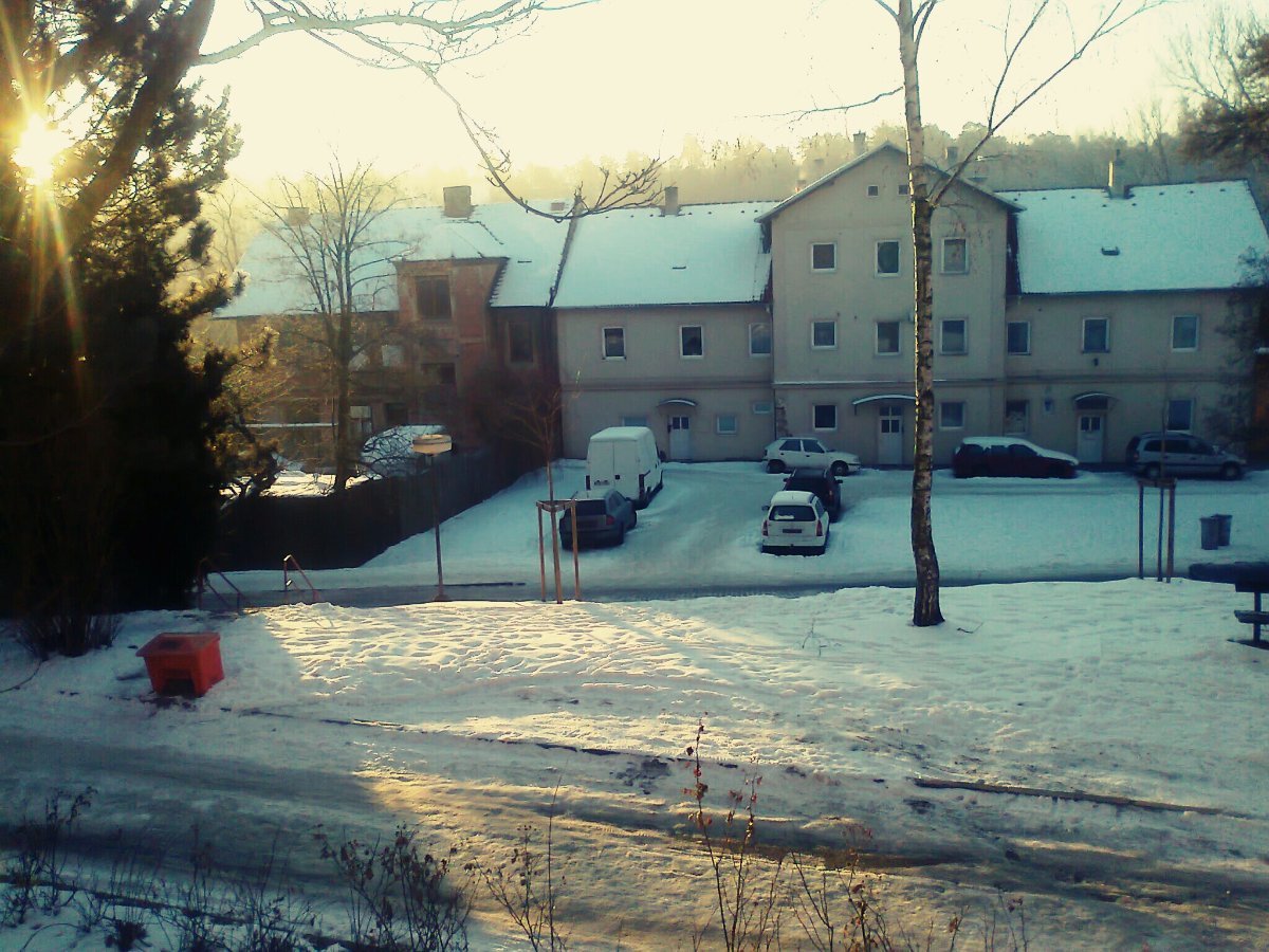 Borovina