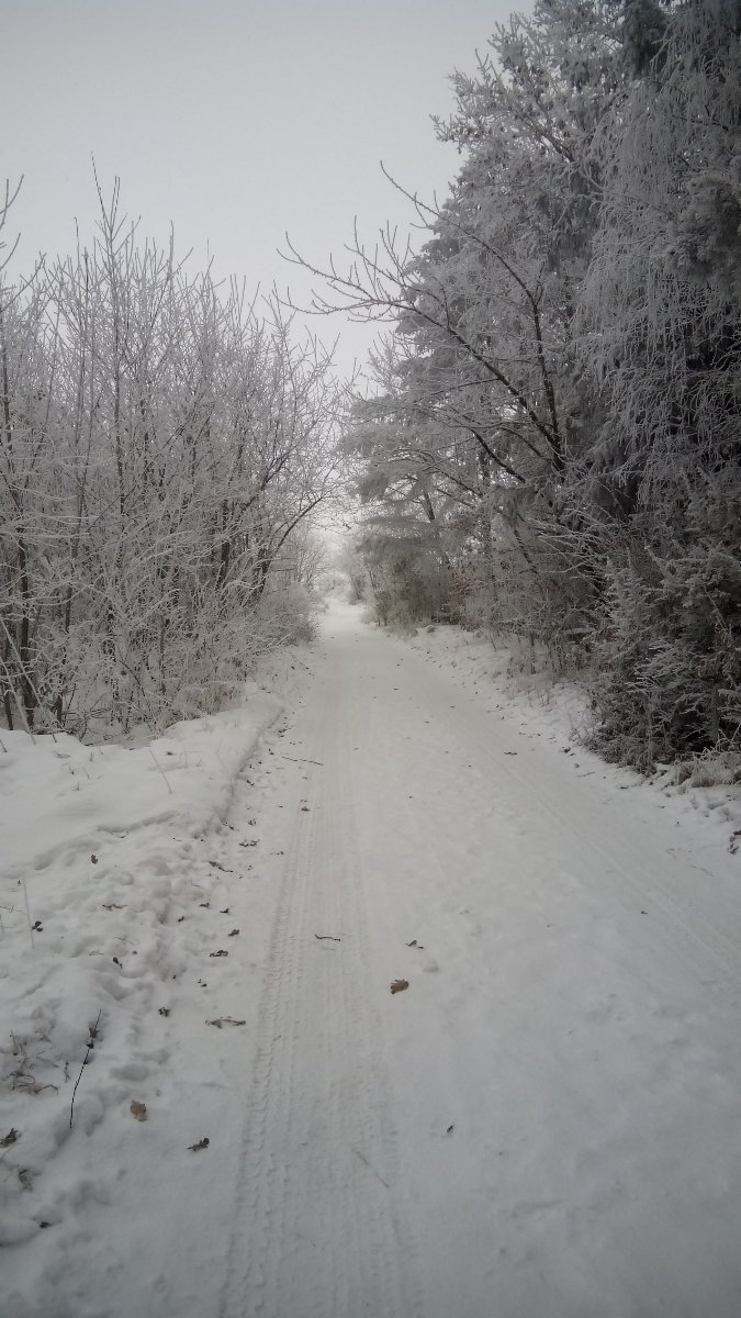 Třebíč-Týn