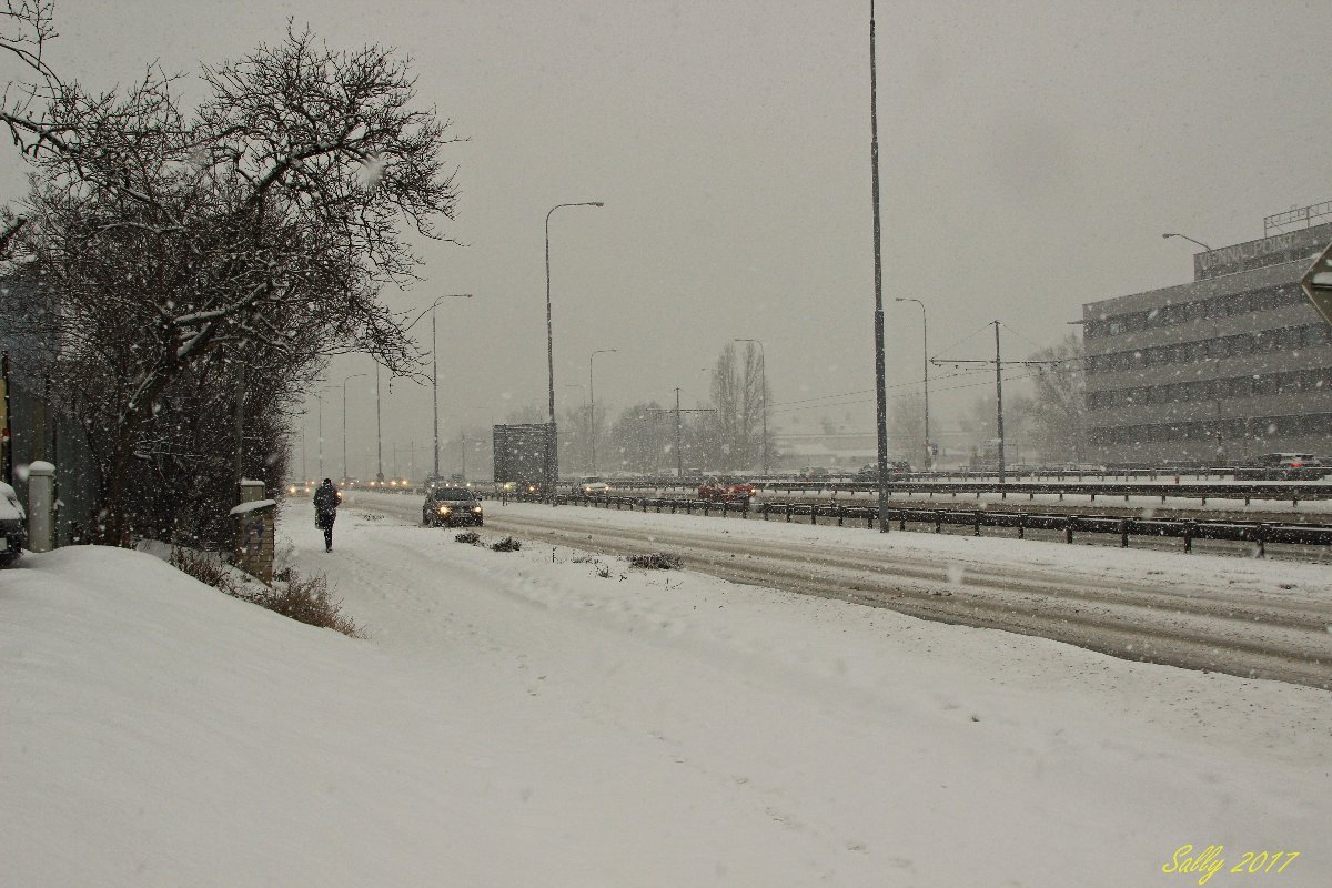 Brno - Vídeňská